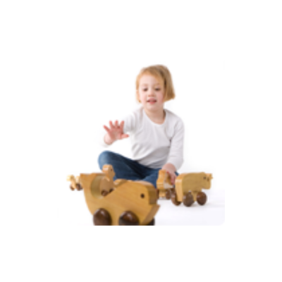 As of 1 - wooden toys in light natural wood